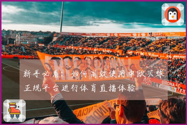 新手必看：如何高效使用中欧买球正规平台进行体育直播体验