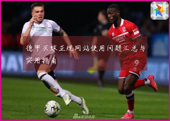 德甲买球正规网站使用问题汇总与实用指南