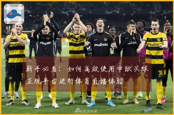新手必看：如何高效使用中欧买球正规平台进行体育直播体验